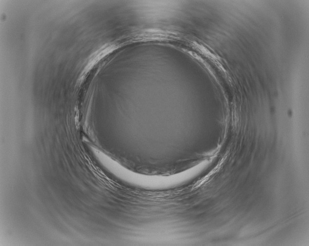 X0000059841453200511111732