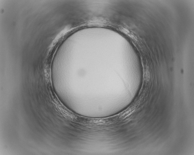 X0000059841454200511111732