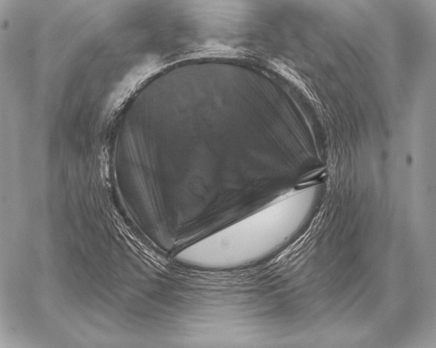 X0000059841455200511111732