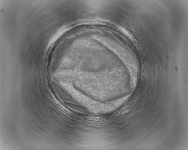 X0000059841456200511111732