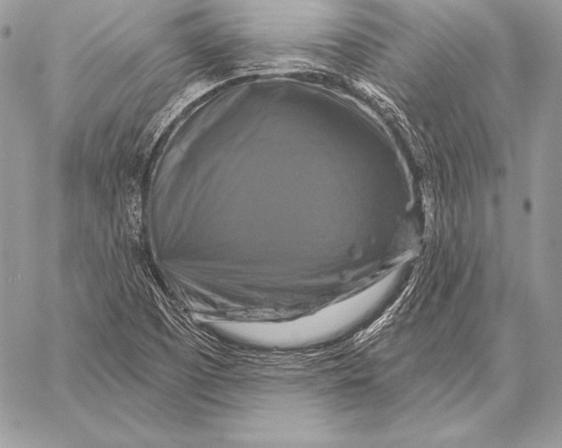 X0000059841457200511111732