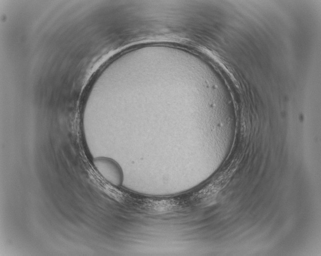 X0000059841460200511111732