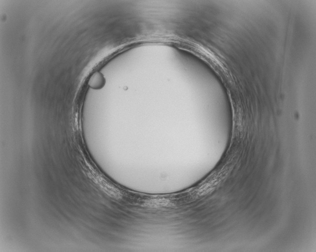 X0000059841462200511111732