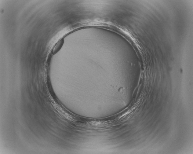 X0000059841463200511111732