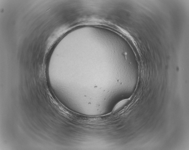 X0000059841464200511111732