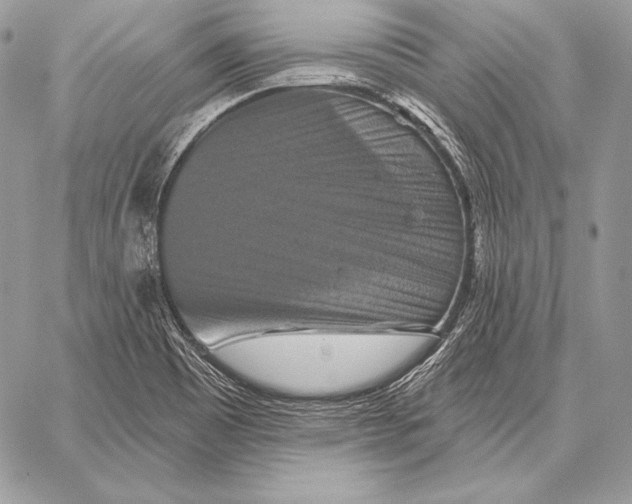 X0000059841465200511111732