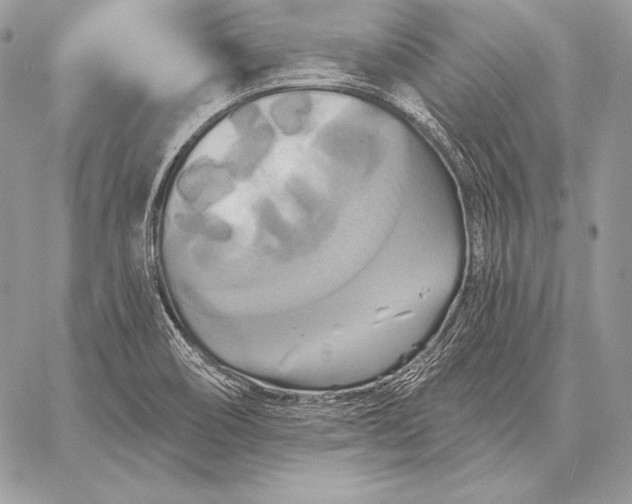 X0000059841466200511111732