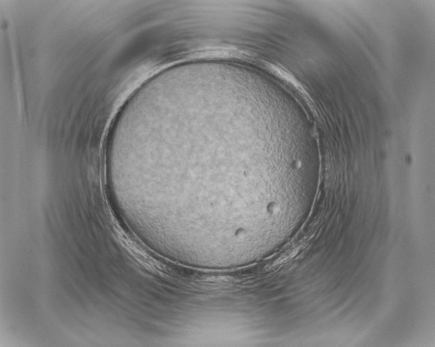 X0000059841467200511111732