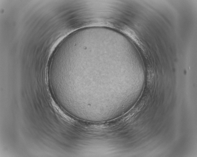 X0000059841468200511111732