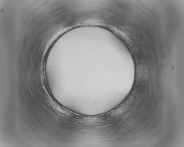 X0000059841470200511111732