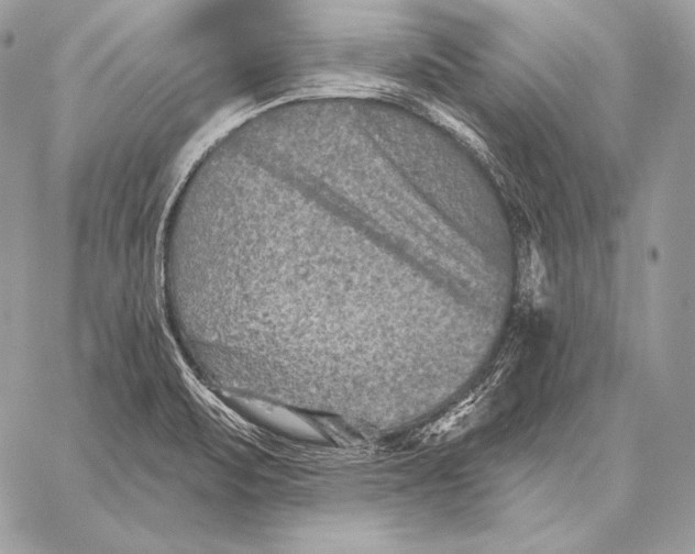 X0000059841471200511111732