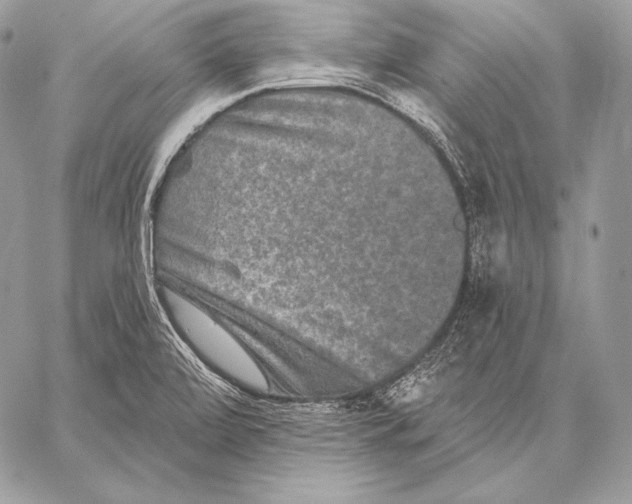 X0000059841472200511111732