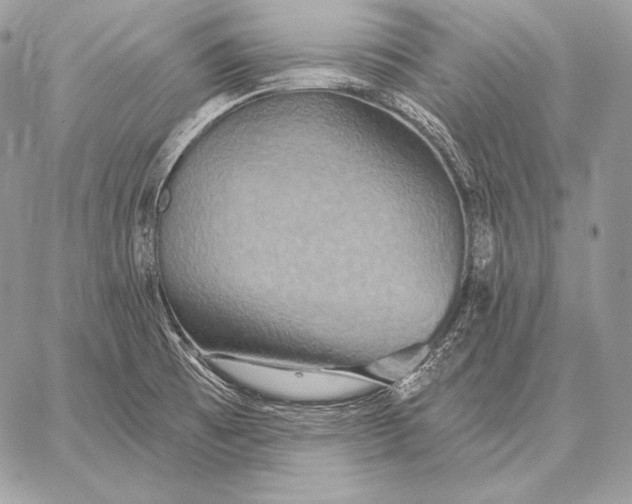 X0000059841473200511111732