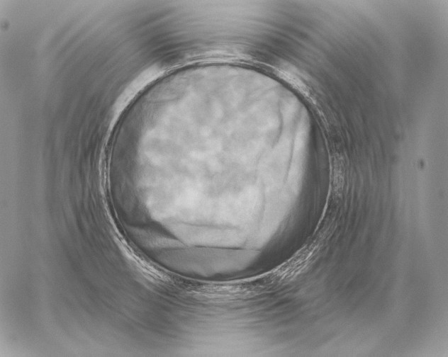 X0000059841474200511111732