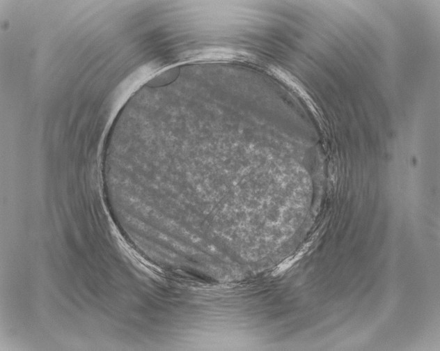 X0000059841475200511111732