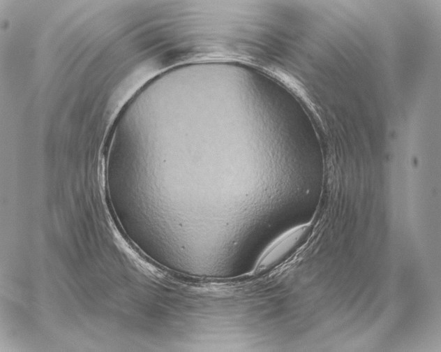 X0000059841476200511111732