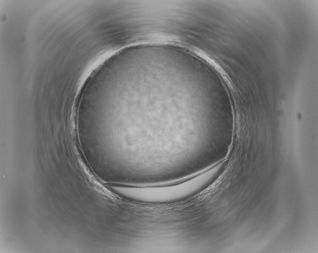 X0000059841477200511111732