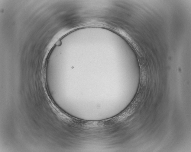 X0000059841478200511111732