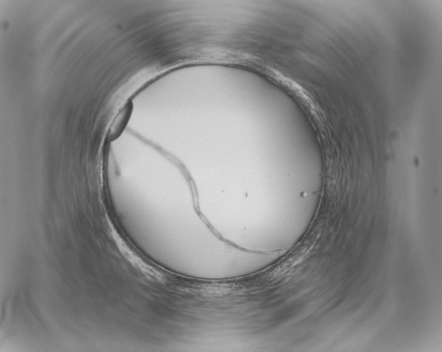 X0000059841479200511111732