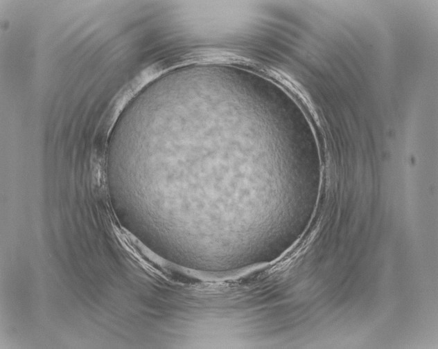 X0000059841481200511111732