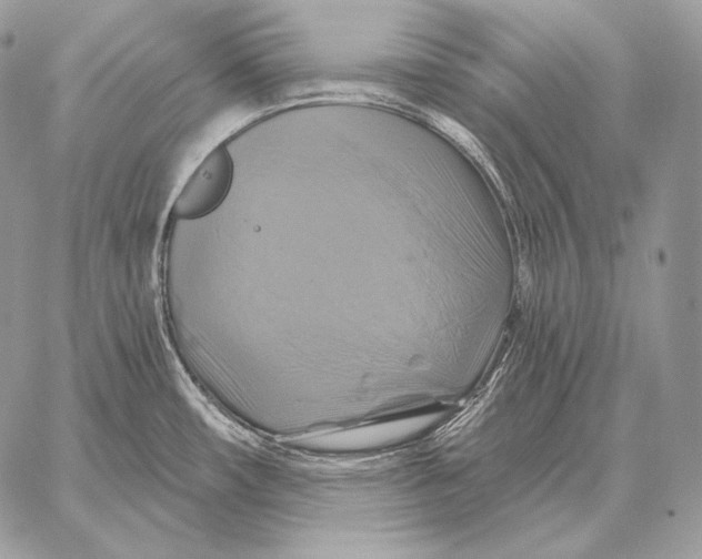 X0000059841482200511111732