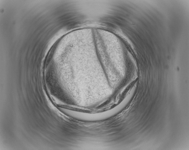 X0000059841483200511111732