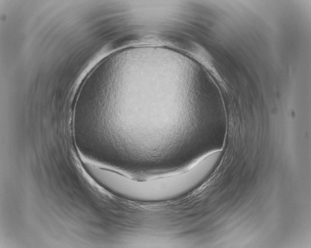 X0000059841484200511111732