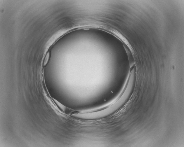 X0000059841485200511111732