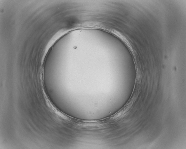 X0000059841486200511111732