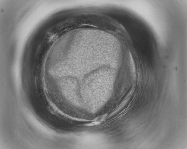 X0000059841487200511111732