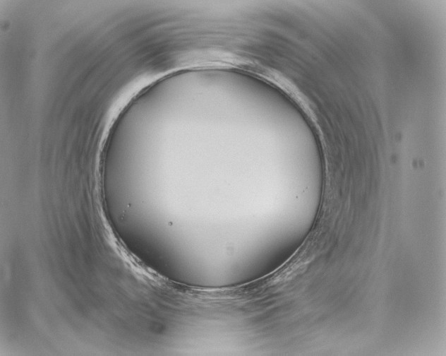 X0000059841488200511111732