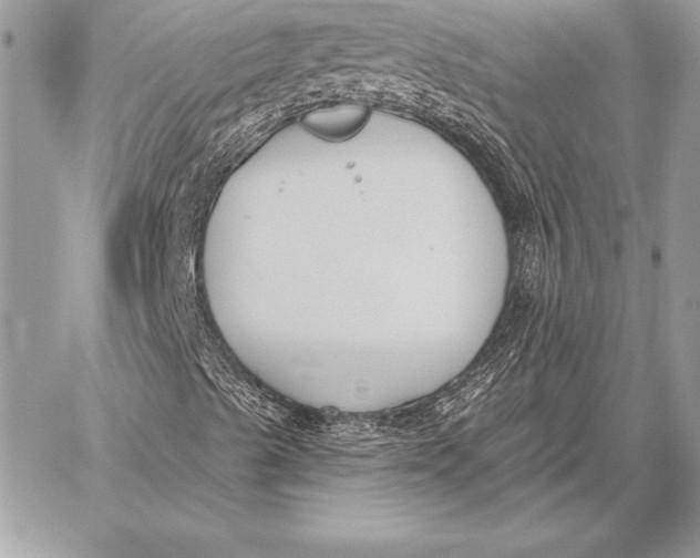 X0000059841489200511111731