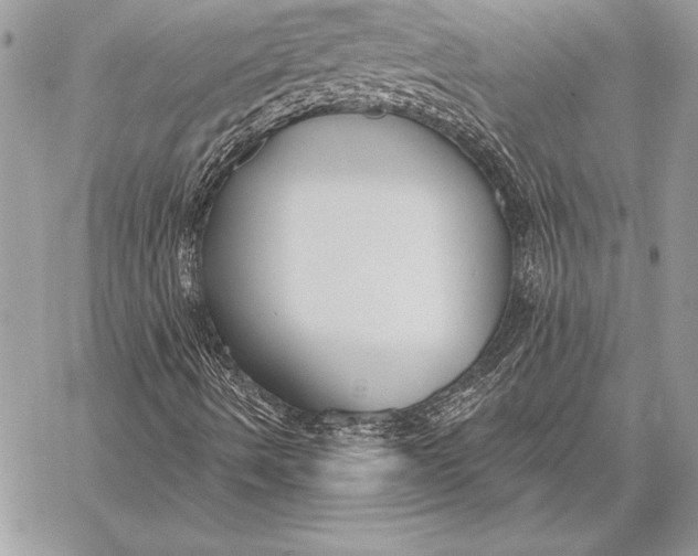 X0000059841490200511111731