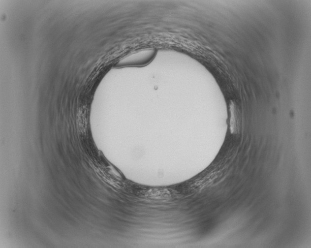 X0000059841491200511111731