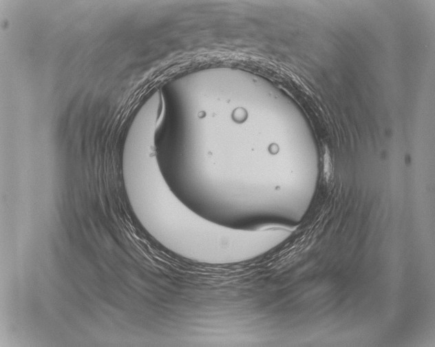 X0000059841492200511111731