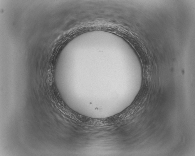 X0000059841493200511111731