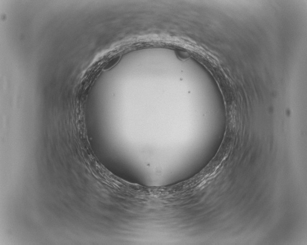 X0000059841494200511111731