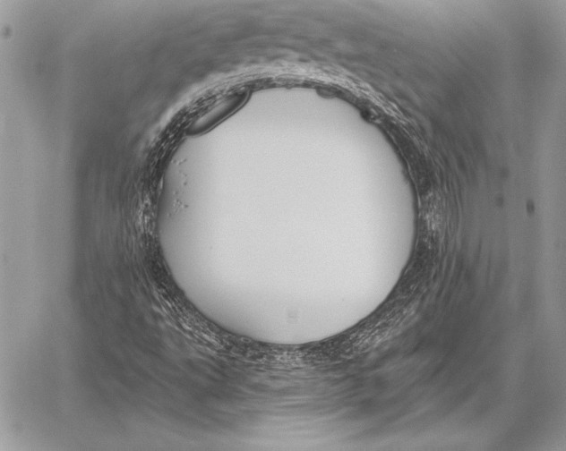 X0000059841495200511111731