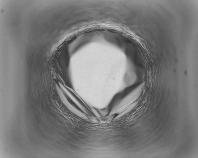 X0000059841496200511111731