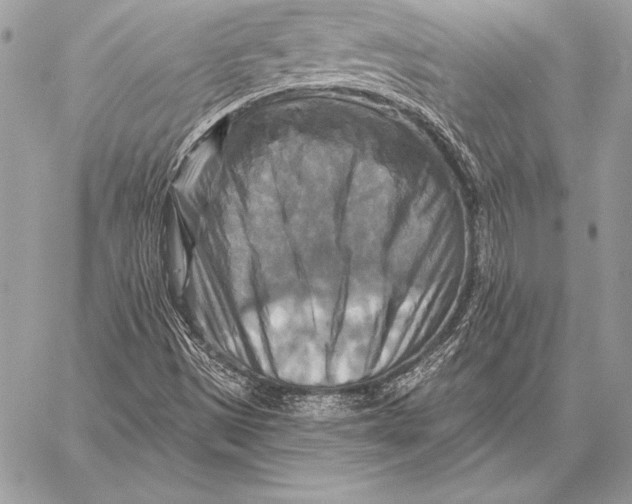 X0000059841497200511111731