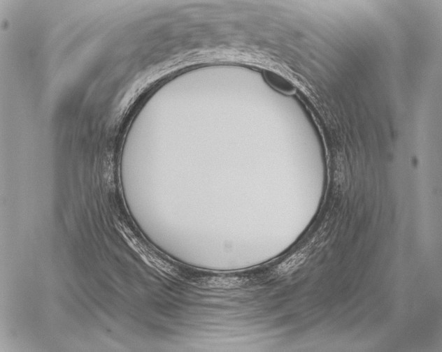 X0000059841499200511111731