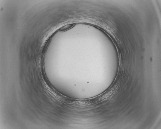 X0000059841500200511111731