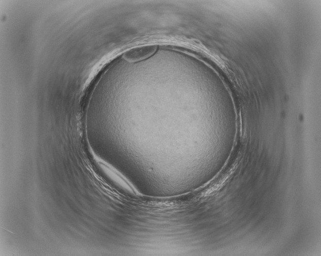 X0000059841501200511111731