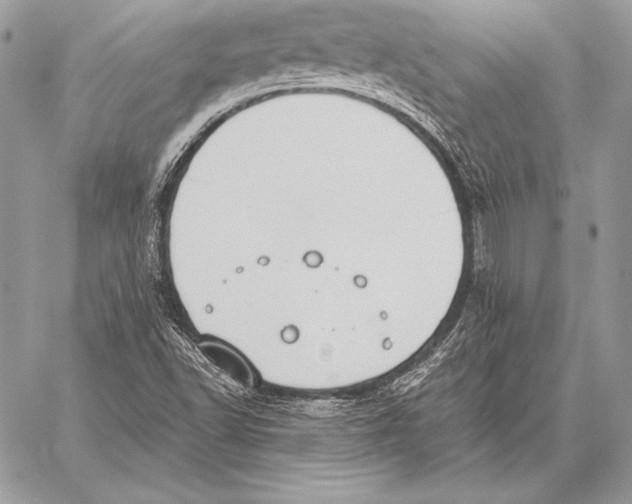 X0000059841502200511111731