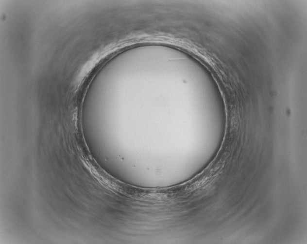 X0000059841503200511111731