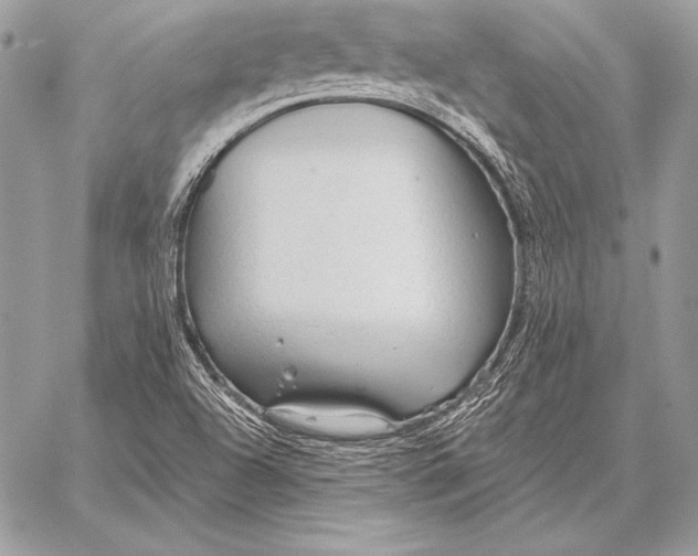 X0000059841504200511111731