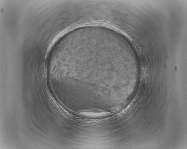 X0000059841506200511111731