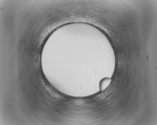 X0000059841507200511111731