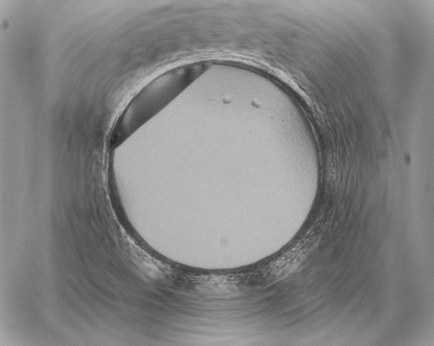 X0000059841508200511111731