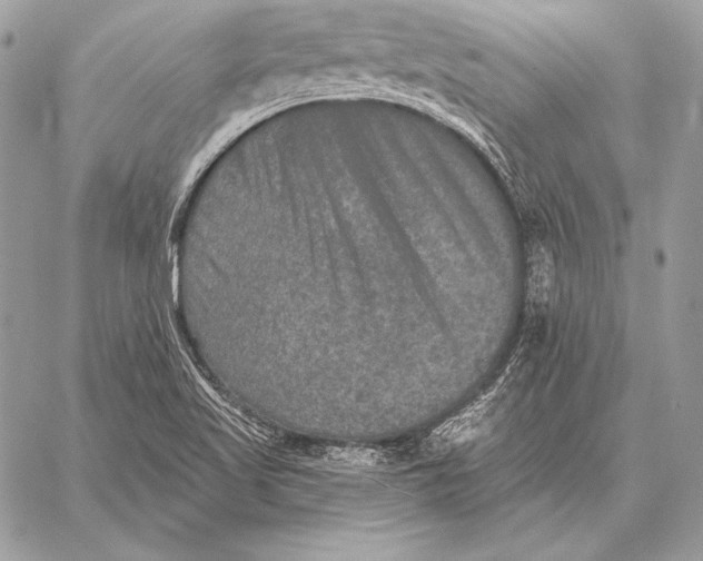 X0000059841509200511111731